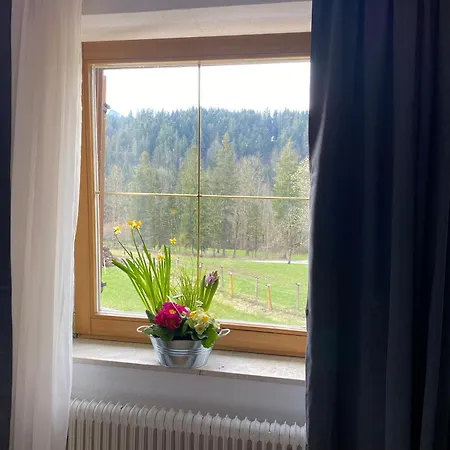 Haus Tanne Rum i privatbostad Abtenau